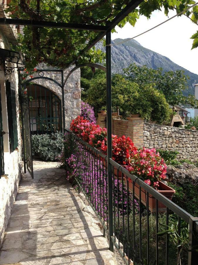 House Dobrila Villa Igrane Exterior photo